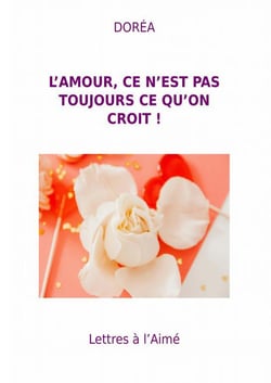 Lettres à l?Aimé