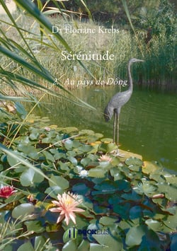 Sérénitude Tome 2 : Au pays de Dông