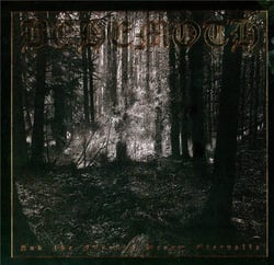 And The Forests Dream Eternally