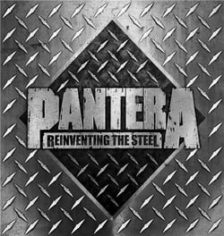 Reinventing the Steel (Coffret 3CD 20th Anniv)