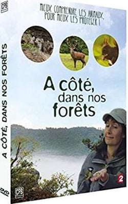 A côté dans nos forêts