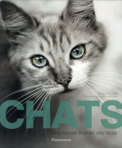 Chats - une histoire illustrée des races