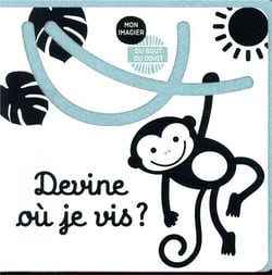 Devine où je vis ?