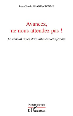 Avancez ne nous attendez pas - le constat amer d'un intellectuel africain
