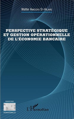 Perspectives stratégiques et gestion operationnelle de l'économie bancaire