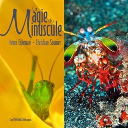La magie du minuscule