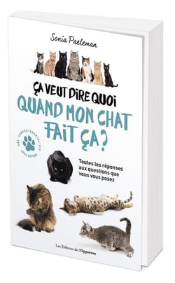 Ça veut dire quoi quand mon chat fait ça ?