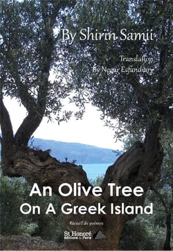 An olive tree on a greek island