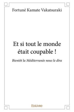 Et si tout le monde etait coupable ! - bientot la mediterranee nous le dira