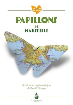Papillons de Marseille : Identifier les papillons de jour de l'oeuf à l'imago