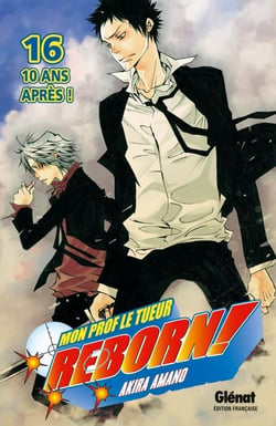 Reborn Tome 16 : 10 ans après
