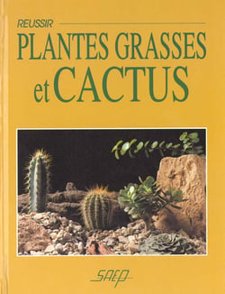 Reussir plantes grasses et cactus