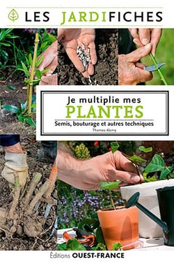 Je multiplie mes plantes - semis, bouturage et autres tecniques