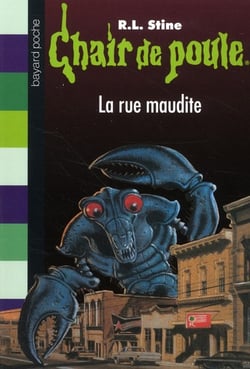 Chair de poule t.28 - rue maudite