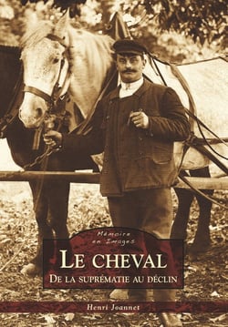 Le cheval - de la suprématie au déclin