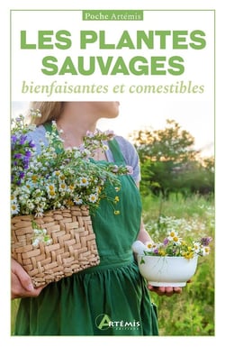 Les plantes sauvages bienfaisantes et comestibles