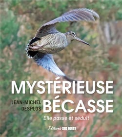 Mystérieuse bécasse : elle passe et séduit