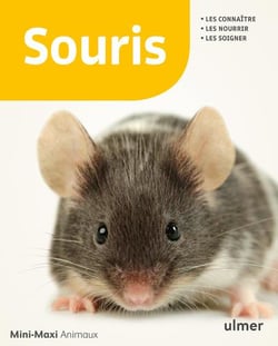 Souris - les connaître, les nourrir, les soigner