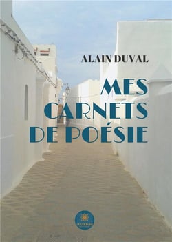 Mes carnets de poésie