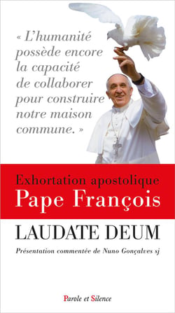 Laudato Deum commenté : Présentation commentée de Andreas Gonçalves Lind sj