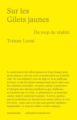 Sur les Gilets Jaunes : du trop de réalité