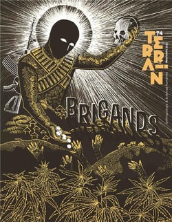 Terrain 74 Brigands : Brigands