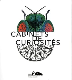 Cabinets de curiosités