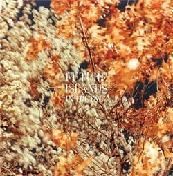 In the fall