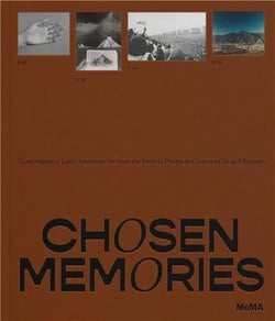 Through cracks in the horizon : contemporary latin american art from the cisneros gift