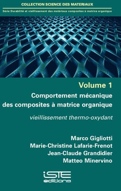 Comportement mécanique des composites à matrice organique - vieillissement thermo-oxydant