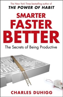 Smarter faster better - the secrets of being productive