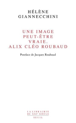 Une image peut-être vraie - Alix Cléo Roubaud