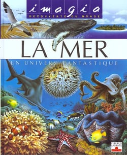 Mer + puzzle