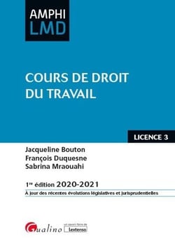 Cours de droit du travail (édition 2020/2021)