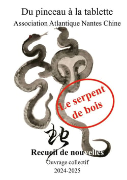 Le serpent de bois : Recueil de nouvelles chinoises