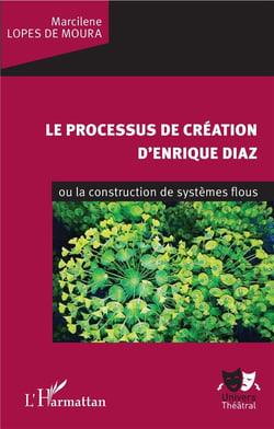 Le processus de création d'Enrique Diaz ou la construction de systèmes floues
