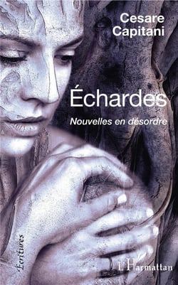 Échardes - nouvelles en désordre