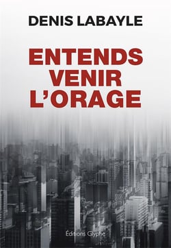 Entends venir l'orage - roman