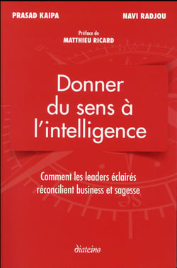 Donner du sens à l'intelligence - comment les leader éclairés réconcilient business et sagesse