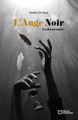 L'Ange Noir Tome 1 : La Rencontre