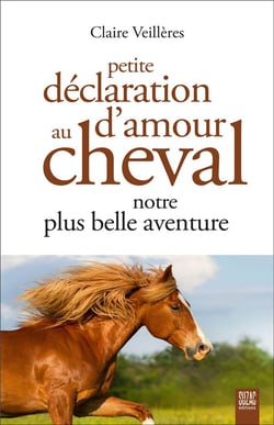 4 Sacs Cadeaux - Cheval d'Amour pour l'anniversaire de votre