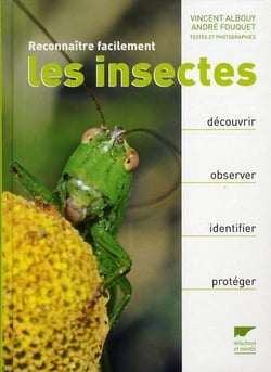 Reconnaître facilement les insectes