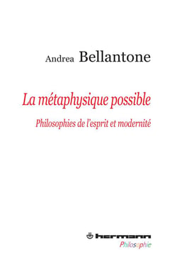 La métaphysique possible