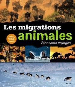 Incroyables migrations