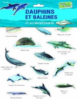 Dauphins et baleines - 65 autocollants