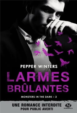 Monsters in the dark Tome 2 : larmes brûlantes