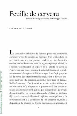 Feuille de cerveau : autour de quelques oeuvres de Guiseppe Penone