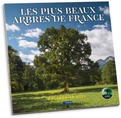 Pèlerin Hors-Série : les plus beaux arbres de France (édition 2024)
