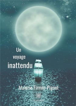 Un voyage inattendu
