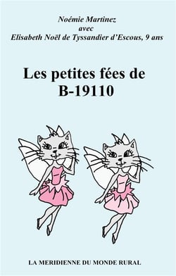 Les petites fées de b-19110